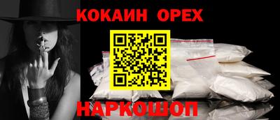 амф Кингисепп